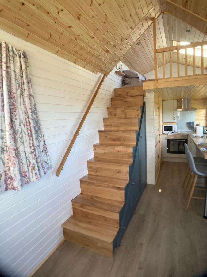 فيلا The Cedar Tiny House Coldingham المظهر الخارجي الصورة