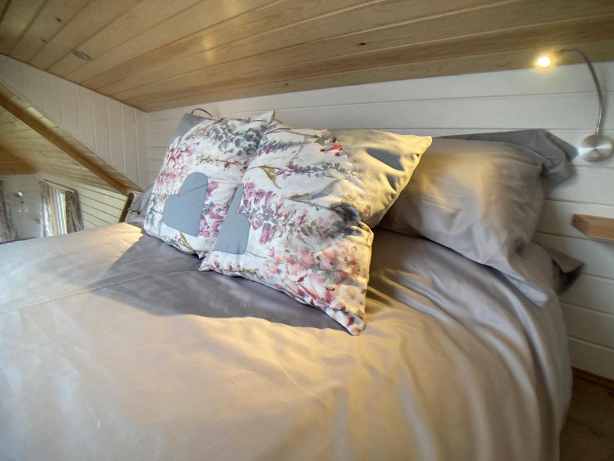 فيلا The Cedar Tiny House Coldingham المظهر الخارجي الصورة